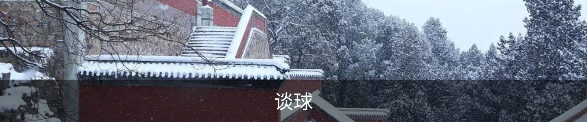 谈球
